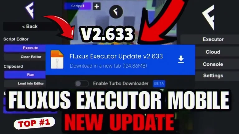 What Is Fluxus Executor