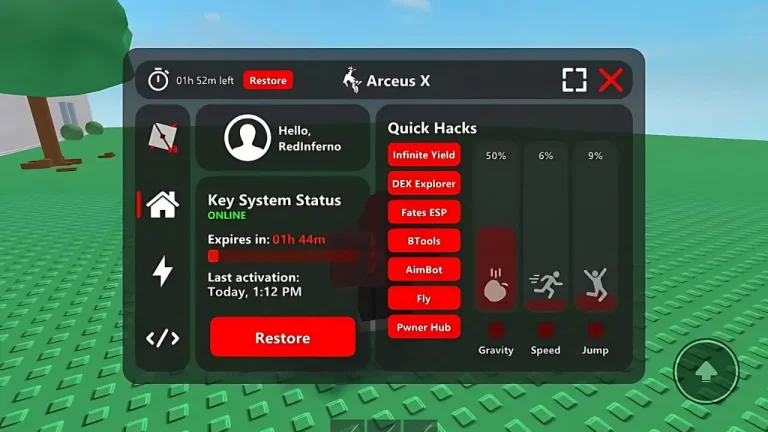 What Is Arceus X
